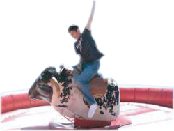 Tips and Strategies to Ride a Mechanical Bull from Mechanical Bull Rental Toronto and Kiddies Fun Trak Inc. - we have the most experience and best selection